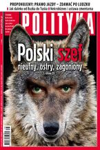 Polityka nr 38/2013