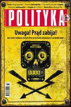 Polityka nr 42/2022