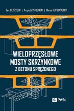 Okładka - Wieloprzęsłowe mosty skrzynkowe z betonu sprężonego - Krzysztof Sadowski, Jan Biliszczuk, Marco Teichgraeber