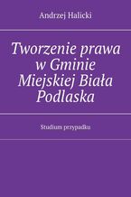 Okładka - Tworzenie prawa w Gminie Miejskiej Biała Podlaska - Andrzej Halicki