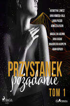 Okładka - Przystanek pożądanie. Tom 1 - Agnieszka Rusin, Laura Passer, Anna Nowicka-Bala, Adam Kopacki, Anna Kasiuk, Magdalena Jachnik, Katarzyna Lemiesz, Małgorzata Kasprzyk