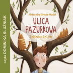 Okładka - Zaklinacz kotów. Ulica Pazurkowa - Aleksandra Struska - Musiał