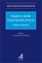 Prawo umów elektronicznych. Zarys systemu