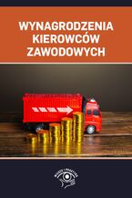 Okładka - Wynagrodzenia kierowców zawodowych - praca zbiorowa