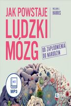 Okładka - Jak powstaje ludzki mózg - William A. Harris