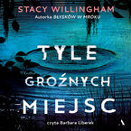 Okładka - Tyle groźnych miejsc - Stacy Willingham