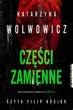 Okładka - Części zamienne - Katarzyna Wolwowicz