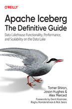 Okładka - Apache Iceberg: The Definitive Guide - Tomer Shiran, Jason Hughes, Alex Merced