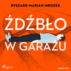 Okładka - Źdźbło w garażu - Ryszard Marian Mrozek