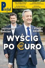 Okładka - Przegląd. 22 - Wojciech Kuczok, Andrzej Romanowski, Andrzej Walicki, Roman Kurkiewicz, Agnieszka Wolny-Hamkało, Bronisław Łagowski, Marek Czarkowski, Marcin Ogdowski, Andrzej Sikorski, Jan Widacki, Bohdan Piętka, Robert Walenciak, Jakub Dymek, Andrzej Werblan, Jerzy Domański, Paweł Dybicz, Mateusz Mazzini, Kornel Wawrzyniak