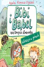 Okładka - Bibi i Bąbel na tropie Zmorka. Wakacje w górach - Agata Komosa-Styczeń