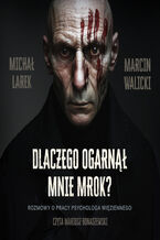 Okładka - Dlaczego ogarnął mnie mrok? Rozmowy o pracy psychologa więziennego - Michał Larek, Marcin Walicki