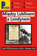 Okładka - Przegląd. 30 - Wojciech Kuczok, Andrzej Romanowski, Andrzej Walicki, Roman Kurkiewicz, Agnieszka Wolny-Hamkało, Bronisław Łagowski, Marek Czarkowski, Andrzej Sikorski, Krzysztof Pilawski, Jan Widacki, Bohdan Piętka, Robert Walenciak, Jakub Dymek, Jerzy Domański, Paweł Dybicz, Mateusz Mazzini, Kornel Wawrzyniak