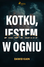 Kotku jestem w ogniu