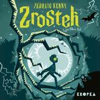 Zrostek