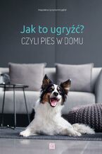 Okładka - Jak to ugryźć? czyli pies w domu - Magdalena Łęczycka-Mrzygłód