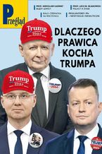 Przegląd 19/2024