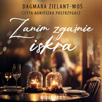 Okładka - Zanim zgaśnie iskra - Dagmara Zielant-Woś