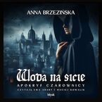 Okładka - Woda na sicie. Apokryf czarownicy - Anna Brzezińska