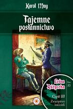 Okładka - Leśna Różyczka. Tom 10. Tajemne posłannictwo - Karol May