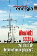 Okładka - Energia Gigawat 9-10/2024 - zespół autorów