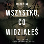 Okładka - Wszystko, co widziałeś - Cyryl Sone