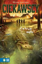 Okładka - Ciekawscy (Tom 3). Ciekawscy. Co kryje mgła? - Michał Łuczyński