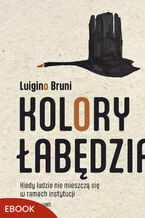 Okładka - Kolory łabędzia. Kiedy ludzie nie mieszczą się w ramach instytucji - Luigino Bruni