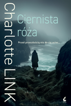 Ciernista Róża