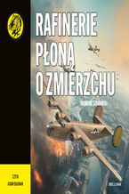 Rafinerie płoną o zmierzchu