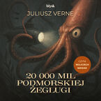Okładka - 20 000 mil podmorskiej żeglugi - Juliusz Verne