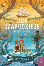 Okładka - Leśni czarodzieje. Sekrety oceanu. Tom 3 - Liz Flanagan