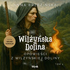 Okładka - Opowieści z Wilżyńskiej Doliny - Anna Brzezińska