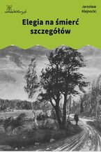 Okładka - Elegia na śmierć szczegółów - Jarosław Klejnocki