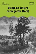 Okładka - Elegia na śmierć szczegółów (tom) - Jarosław Klejnocki
