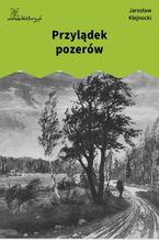 Okładka - Przylądek pozerów - Jarosław Klejnocki