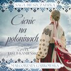 Saga bieszczadzka t.1. Cienie na połoninach