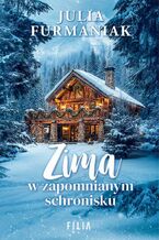 Okładka - Zima w zapomnianym schronisku - Julia Furmaniak