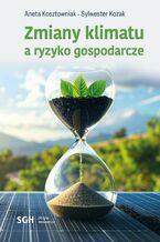 Okładka - Zmiany klimatu a ryzyko gospodarcze - Aneta Kosztowniak, Sylwester Kozak