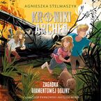 Okładka - Kroniki Archeo. Zagadka Diamentowej Doliny. Tom 5 - Agnieszka Stelmaszyk