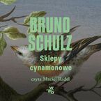 Okładka - Sklepy cynamonowe - Bruno Schulz