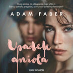 Okładka - Upadek anioła - Adam Faber