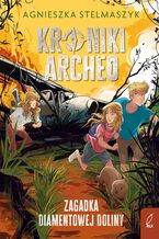 Okładka - Kroniki Archeo. Zagadka Diamentowej Doliny. Tom 5 - Agnieszka Stelmaszyk