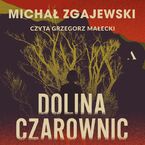Okładka - Dolina czarownic - Michał Zgajewski