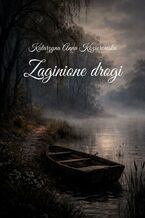 Okładka - Zaginione drogi - Katarzyna Koziorowska