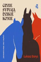 Okładka - Gdzie sypiają dzikie konie - Łukasz Barys