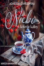 Okładka - Niebo w kolorze kaliny - Agnieszka Zakrzewska