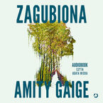 Okładka - Zagubiona - Amity Gaige