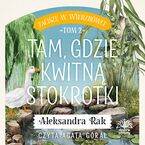 Okładka - Zacisze w Wierzbówce. Tom 2. Tam, gdzie kwitną stokrotki - Aleksandra Rak