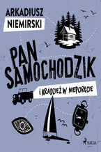 Okładka - Pan Samochodzik i kradzież w Nieporęcie - Arkadiusz Niemirski